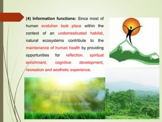 (4) Information functions: Since most of
human evolution took place within the
context of an undomesticated habitat,
natural ecosystems contribute to the
maintenance of human health by providing
opportunities for reflection, spiritual
enrichment, cognitive development,
recreation and aesthetic experience.
 