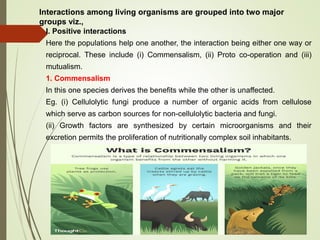 Interactions among living organisms are grouped into two major
groups viz.,
I. Positive interactions
Here the populations help one another, the interaction being either one way or
reciprocal. These include (i) Commensalism, (ii) Proto co-operation and (iii)
mutualism.
1. Commensalism
In this one species derives the benefits while the other is unaffected.
Eg. (i) Cellulolytic fungi produce a number of organic acids from cellulose
which serve as carbon sources for non-cellulolytic bacteria and fungi.
(ii) Growth factors are synthesized by certain microorganisms and their
excretion permits the proliferation of nutritionally complex soil inhabitants.
 
