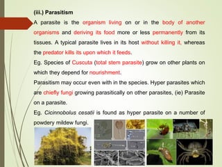 (iii.) Parasitism
A parasite is the organism living on or in the body of another
organisms and deriving its food more or less permanently from its
tissues. A typical parasite lives in its host without killing it, whereas
the predator kills its upon which it feeds.
Eg. Species of Cuscuta (total stem parasite) grow on other plants on
which they depend for nourishment.
Parasitism may occur even with in the species. Hyper parasites which
are chiefly fungi growing parasitically on other parasites, (ie) Parasite
on a parasite.
Eg. Cicinnobolus cesatii is found as hyper parasite on a number of
powdery mildew fungi.
 