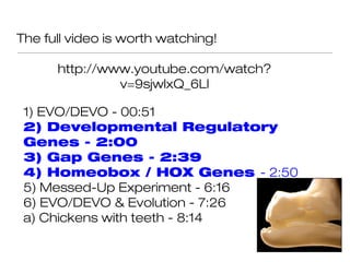 The full video is worth watching!

      http://www.youtube.com/watch?
               v=9sjwlxQ_6LI

 1) EVO/DEVO - 00:51
 2) Developmental Regulatory
 Genes - 2:00
 3) Gap Genes - 2:39
 4) Homeobox / HOX Genes - 2:50
 5) Messed-Up Experiment - 6:16
 6) EVO/DEVO & Evolution - 7:26
 a) Chickens with teeth - 8:14
 