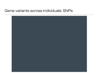 Gene variants across individuals: SNPs
 