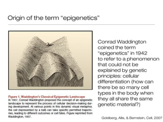 Origin of the term “epigenetics”



                               Conrad Waddington
                               coined the term
                               “epigenetics” in 1942
                               to refer to a phenomenon
                               that could not be
                               explained by genetic
                               principles: cellular
                               differentiation (how can
                               there be so many cell
                               types in the body when
                               they all share the same
                               genetic material?)

                                   Goldberg, Allis, & Bernstein, Cell, 2007
 