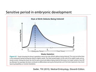 Sensitive period in embryonic development




                Sadler, TW (2010). Medical Embryology, Eleventh Edition.
 