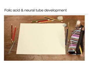 Folic acid & neural tube development
 