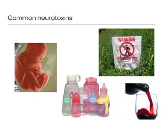 Common neurotoxins
 