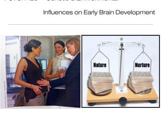 PSYCH 125   Genetic & Environmental

            Influences on Early Brain Development
 