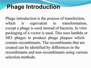 Phage Introduction
Phage introduction is the process of transfection,
which is equivalent to transformation,
except a phage is used instead of bacteria. In vitro
packaging of a vector is used. This uses lambda or
MI3 phages to produce phage plaques which
contain recombinants. The recombinants that are
created can be identified by differences in the
recombinants and non-recombinants using various
selection methods.
 