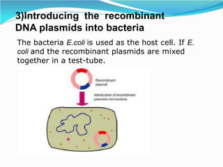 3)Introducing the recombinant
DNA plasmids into bacteria
The bacteria E.coli is used as the host cell. If E.
coli and the recombinant plasmids are mixed
together in a test-tube.
 