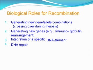 Biological Roles for Recombination
1. Generating new gene/allele combinations
(crossing over during meiosis)
2. Generating new genes (e.g., Immuno- globulin
rearrangement)
Integration of a specific
3.
4.
DNA element
DNA repair
 