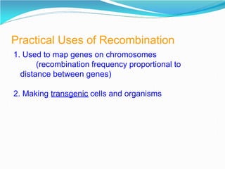 Practical Uses of Recombination
1. Used to map genes on chromosomes
(recombination frequency proportional to
distance between genes)
2. Making transgenic cells and organisms
 
