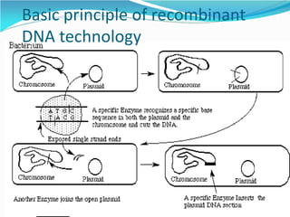 Basic principle of recombinant
DNA technology
 
