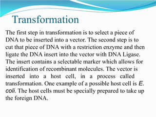Transformation
The first step in transformation is to select a piece of
DNA to be inserted into a vector. The second step is to
cut that piece of DNA with a restriction enzyme and then
ligate the DNA insert into the vector with DNA Ligase.
The insert contains a selectable marker which allows for
identification of recombinant molecules. The vector is
inserted into a host cell, in a process called
transformation. One example of a possible host cell is E.
coli. The host cells must be specially prepared to take up
the foreign DNA.
 