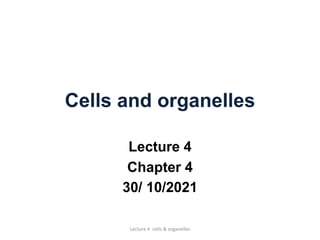 Cells and organelles
Lecture 4
Chapter 4
30/ 10/2021
Lecture 4 cells & organelles
 
