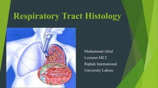 Respiratory Tract Histology
Muhammad Afzal
Lecturer-MLT
Riphah International
University Lahore
 