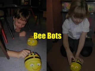 Bee Bots
 