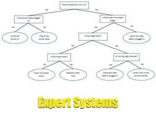 Expert Systems
 