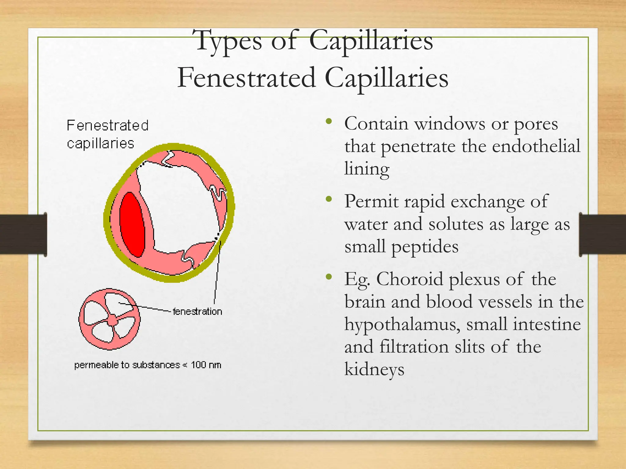 LECTURE 4_ The Conducting System of the Heart _ Blood Vessels.ppt
