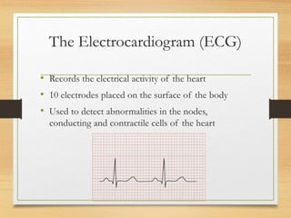 LECTURE 4_ The Conducting System of the Heart _ Blood Vessels.ppt