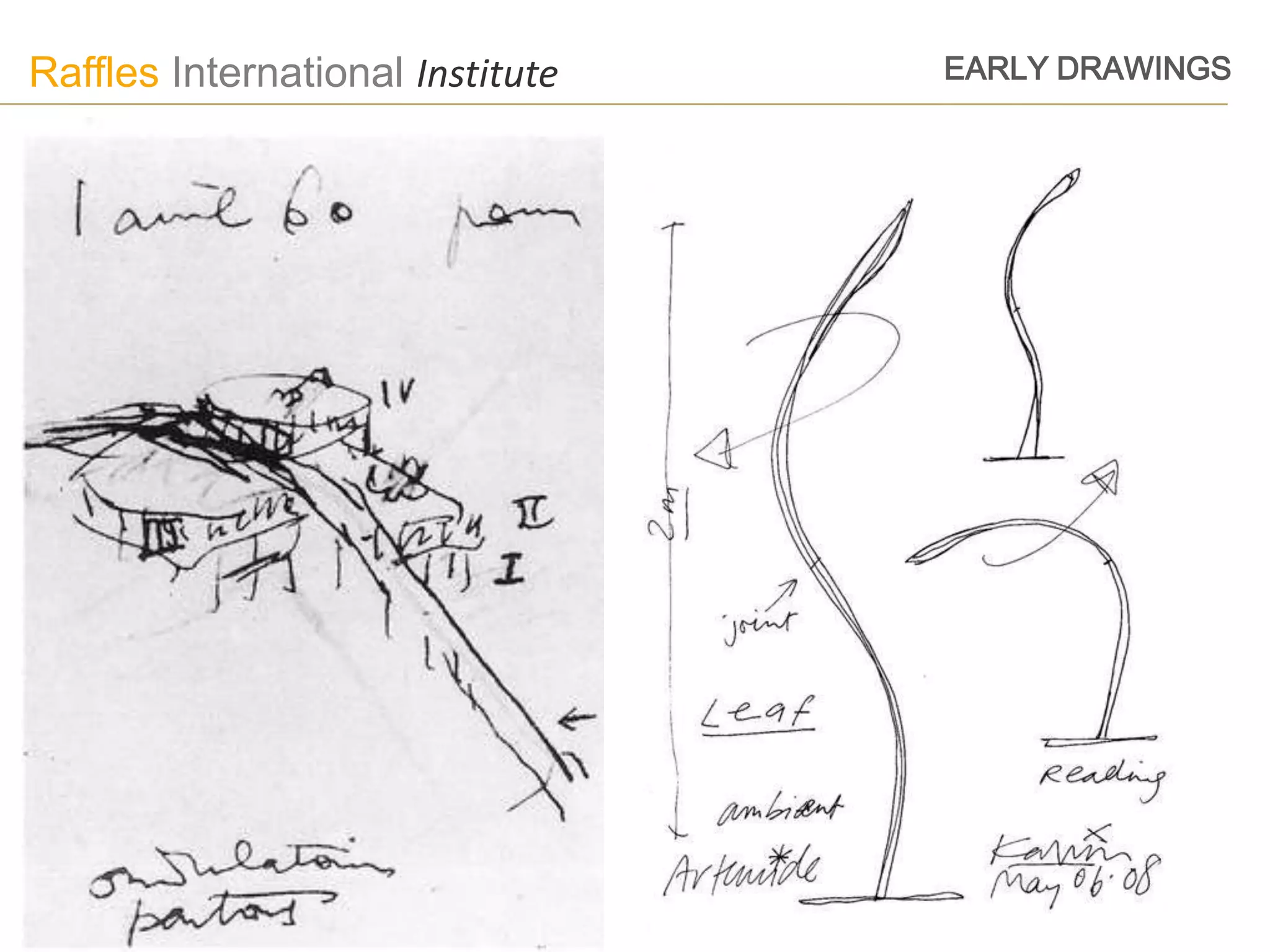 Raffles International Institute   EARLY DRAWINGS
 