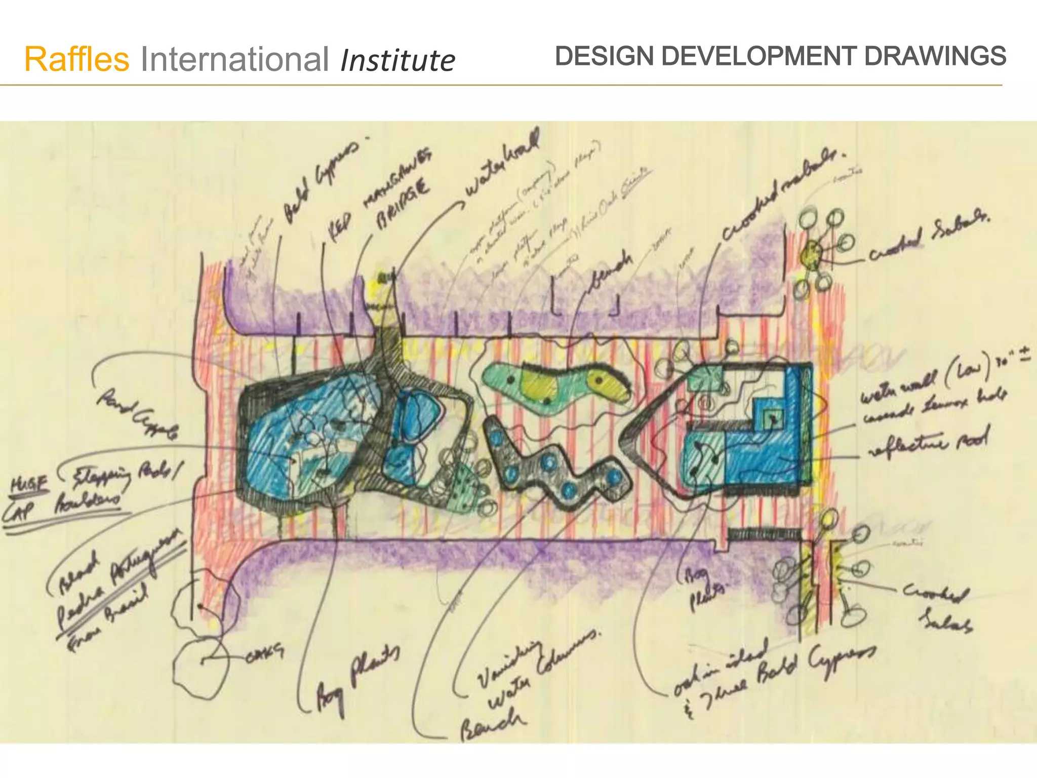 Raffles International Institute   DESIGN DEVELOPMENT DRAWINGS
 