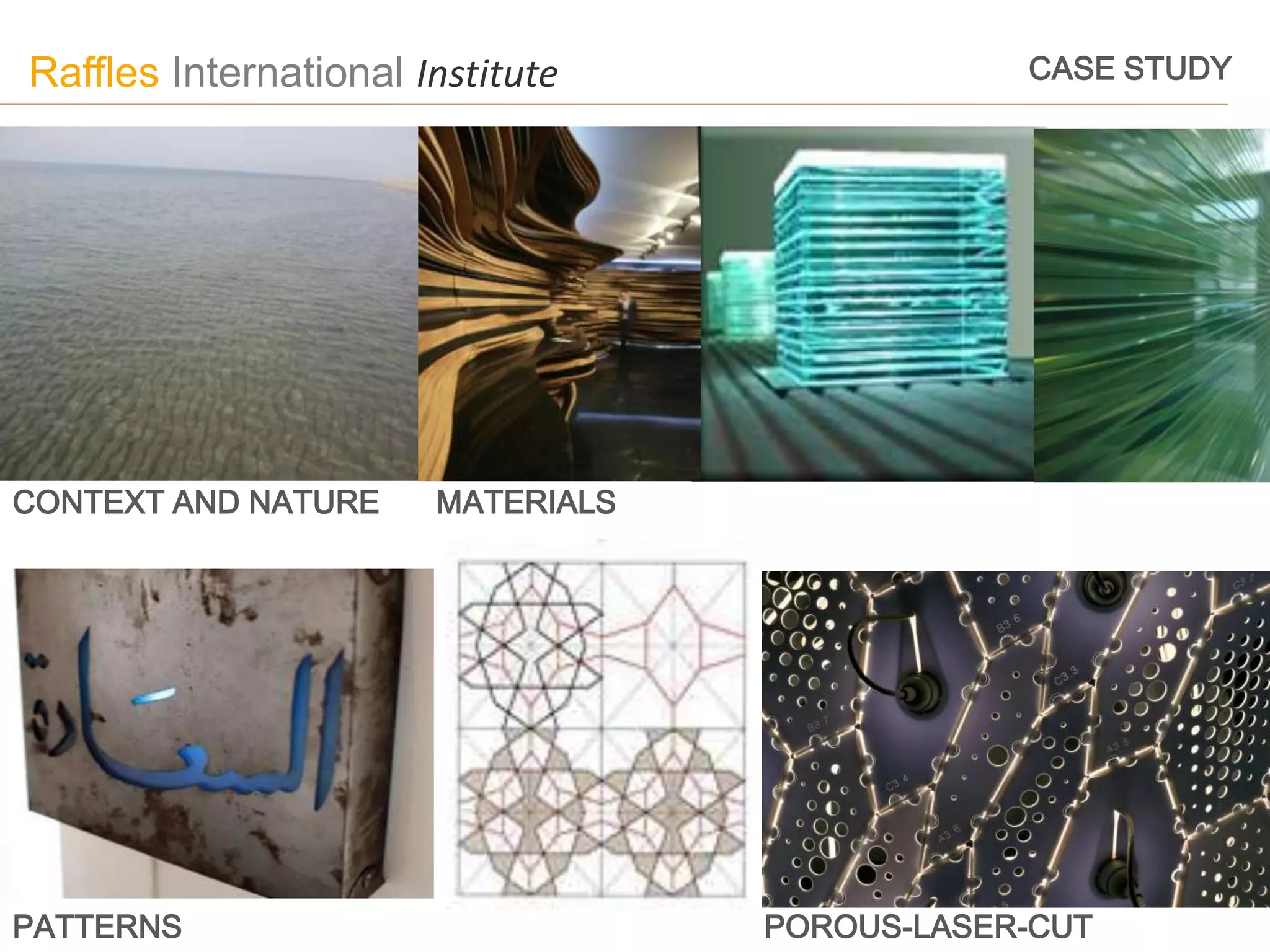 Raffles International Institute                CASE STUDY




CONTEXT AND NATURE     MATERIALS




PATTERNS                           POROUS-LASER-CUT
 