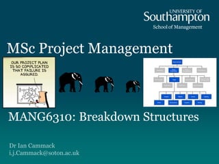 Dr Ian Cammack
i.j.Cammack@soton.ac.uk
MSc Project Management
MANG6310: Breakdown Structures
 