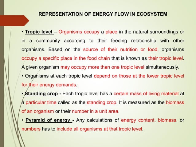 Lecture 5 0ppt Functions of ecosystem | PPT