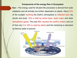 Basic Solar Powered Ecosystem Lecture 5 0ppt Functions of ecosystem | PDF
