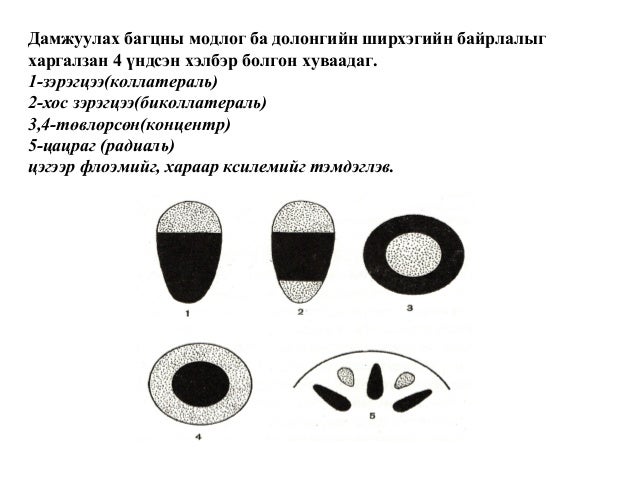 Lecture5