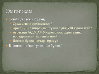  Эсийн /ялтсын бүлэн/
 Судас агших /рефлексээр/
 Аргези /Виллибрандын хүчин зүйл, VIII хүчин зүйл/
 Агрегаци /АДФ, АМФ, серотонин, адреналин,

норадреналин, кальцын ион/
 Ялтсын бүлэн нягтарч ирэх үе
 Шингэний /коагуляцийн бүлэн/

 