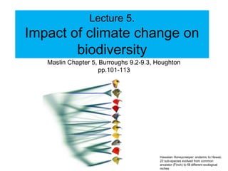 Lecture 5.
Impact of climate change on
biodiversity
Maslin Chapter 5, Burroughs 9.2-9.3, Houghton
pp.101-113
Hawaiian Honeycreeper: endemic to Hawaii,
23 sub-species evolved from common
ancestor (Finch) to fill different ecological
niches
 