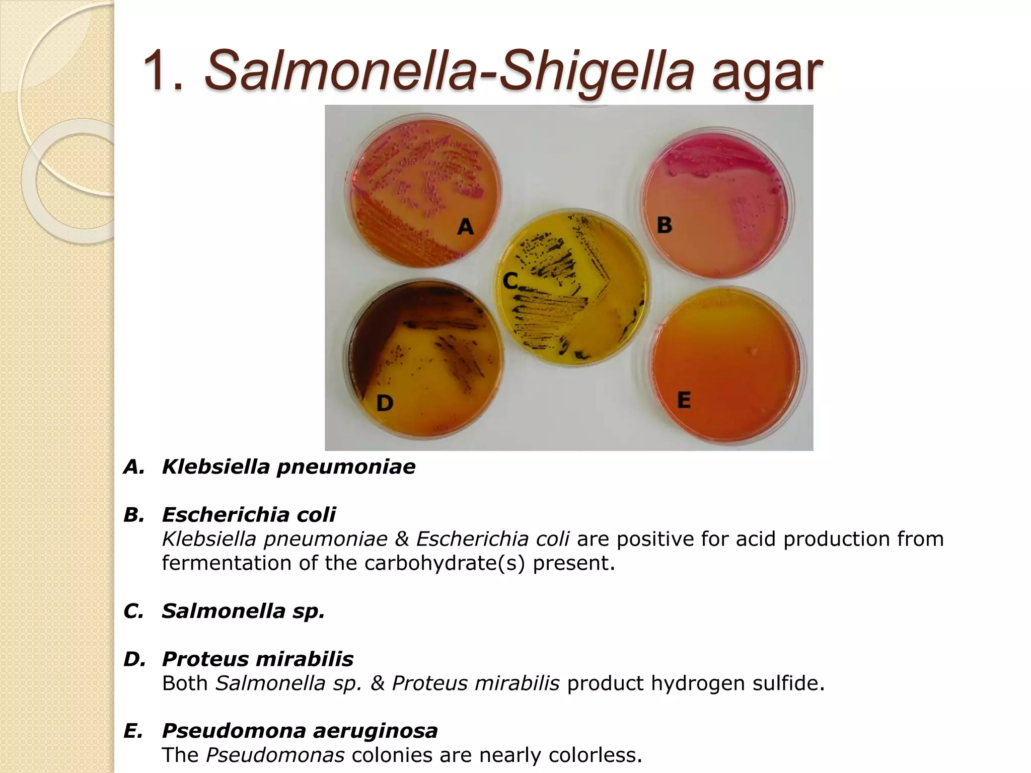 1. Salmonella-Shigella agar
A. Klebsiella pneumoniae
B. Escherichia coli
Klebsiella pneumoniae & Escherichia coli are positive for acid production from
fermentation of the carbohydrate(s) present.
C. Salmonella sp.
D. Proteus mirabilis
Both Salmonella sp. & Proteus mirabilis product hydrogen sulfide.
E. Pseudomona aeruginosa
The Pseudomonas colonies are nearly colorless.
 