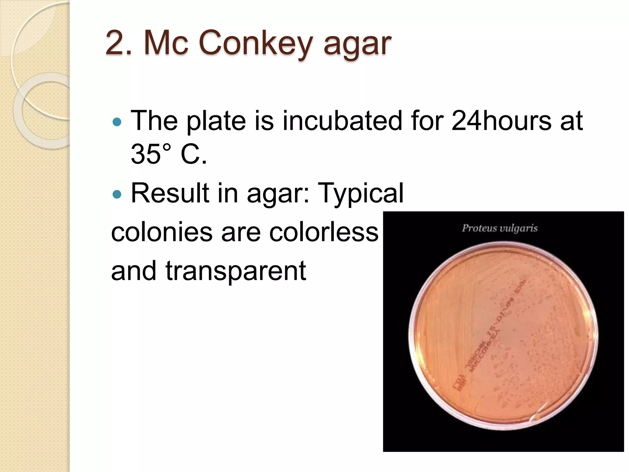 2. Mc Conkey agar
 The plate is incubated for 24hours at
35° C.
 Result in agar: Typical
colonies are colorless
and transparent
 