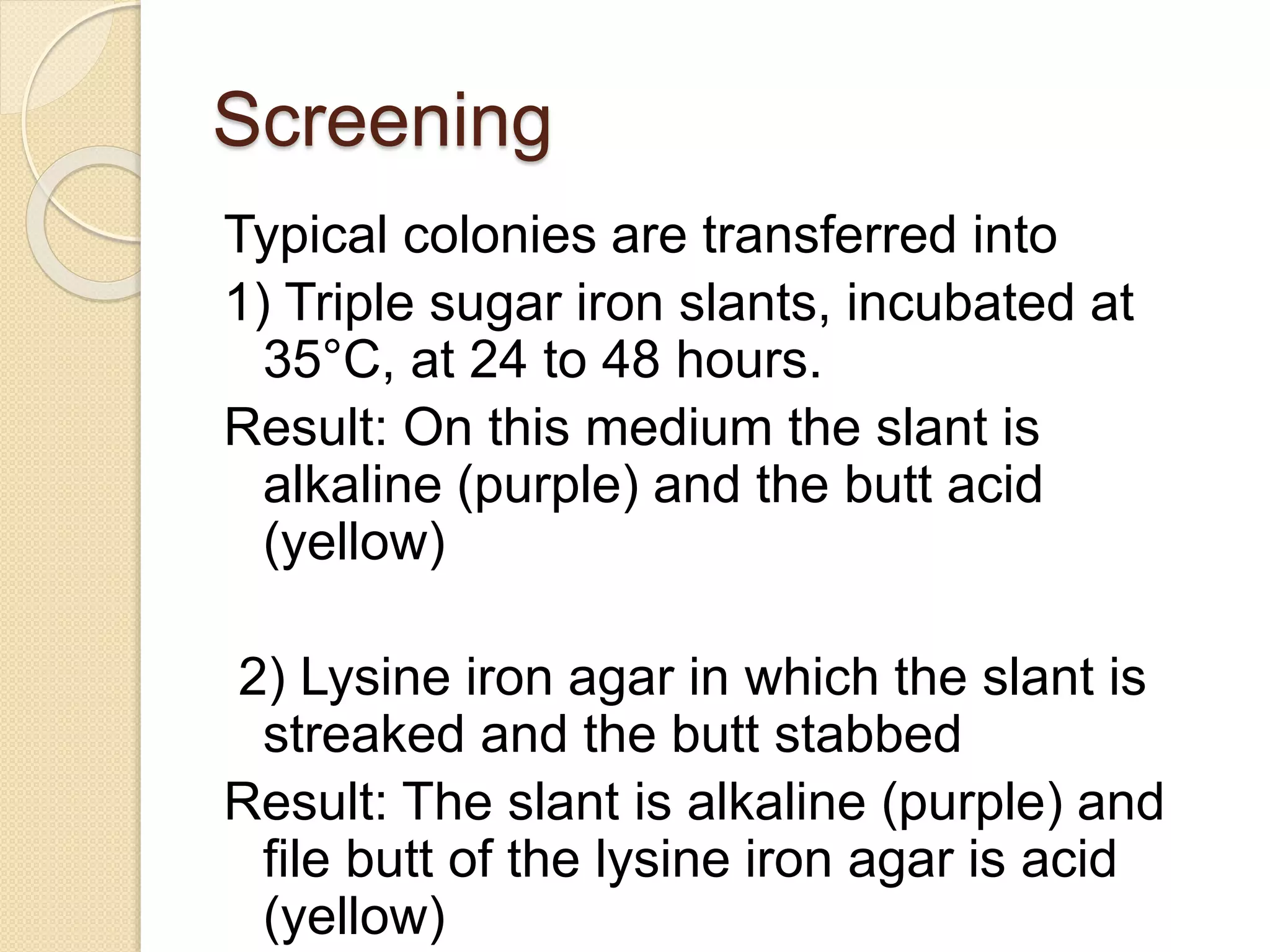 Screening
Typical colonies are transferred into
1) Triple sugar iron slants, incubated at
35°C, at 24 to 48 hours.
Result: On this medium the slant is
alkaline (purple) and the butt acid
(yellow)
2) Lysine iron agar in which the slant is
streaked and the butt stabbed
Result: The slant is alkaline (purple) and
file butt of the lysine iron agar is acid
(yellow)
 
