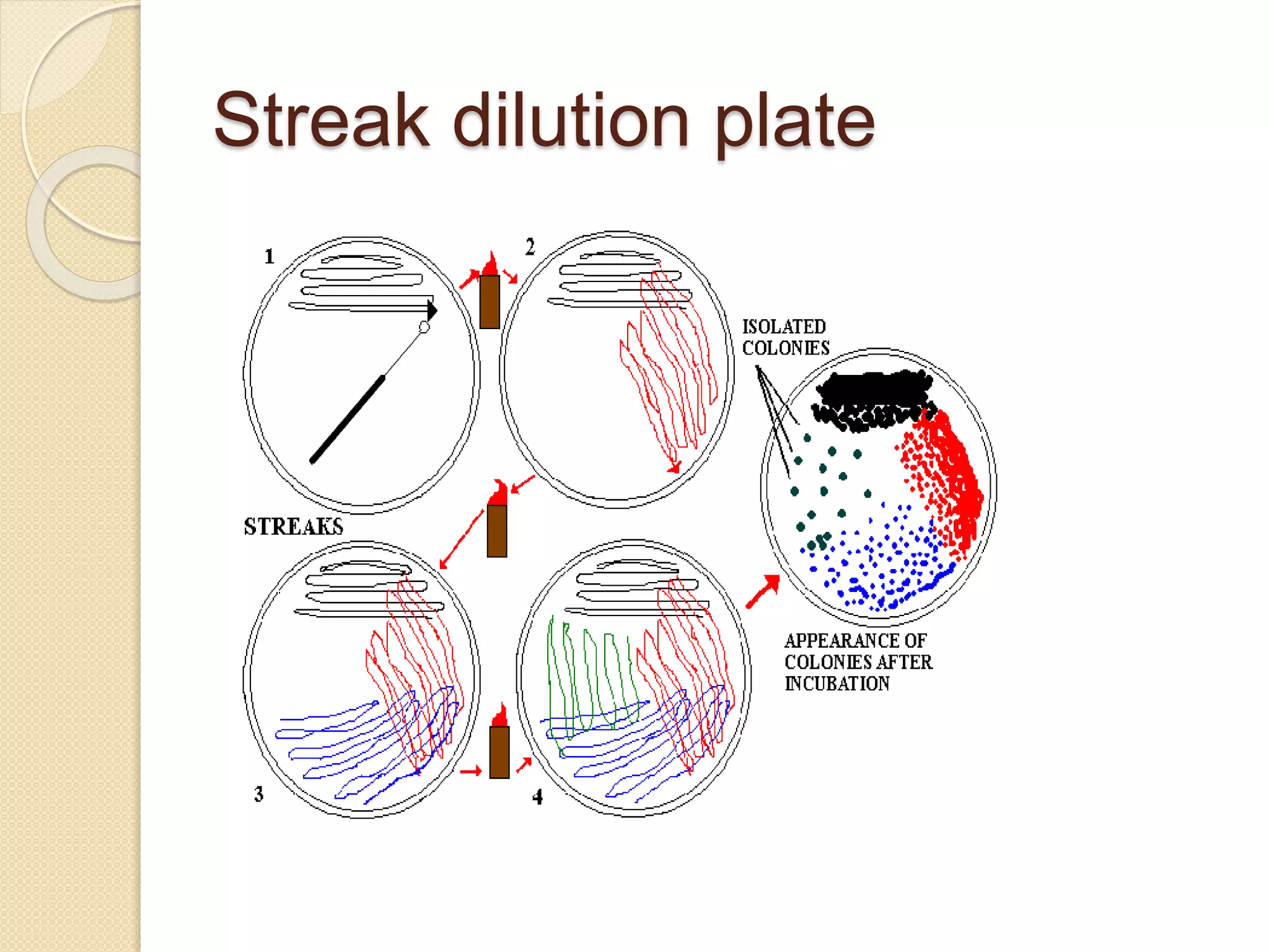 Streak dilution plate
 