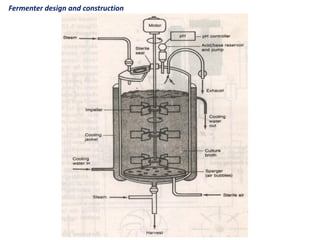 Fermentation Systems (Lecture 5) | PDF