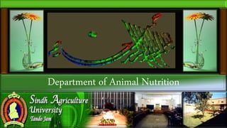 Department of Animal Nutrition
 