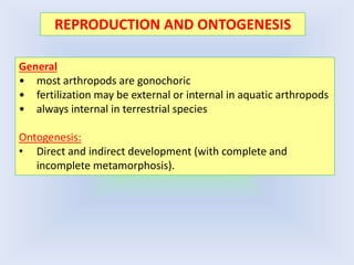 General
• most arthropods are gonochoric
• fertilization may be external or internal in aquatic arthropods
• always internal in terrestrial species
Ontogenesis:
• Direct and indirect development (with complete and
incomplete metamorphosis).
REPRODUCTION AND ONTOGENESIS
 