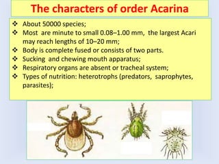 The characters of order Acarina
 About 50000 species;
 Most are minute to small 0.08–1.00 mm, the largest Acari
may reach lengths of 10–20 mm;
 Body is complete fused or consists of two parts.
 Sucking and chewing mouth apparatus;
 Respiratory organs are absent or tracheal system;
 Types of nutrition: heterotrophs (predators, saprophytes,
parasites);
 