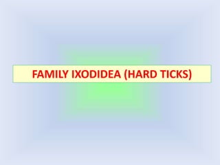 FAMILY IXODIDEA (HARD TICKS)
 