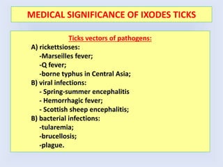 MEDICAL SIGNIFICANCE OF IXODES TICKS
Ticks vectors of pathogens:
A) rickettsioses:
-Marseilles fever;
-Q fever;
-borne typhus in Central Asia;
B) viral infections:
- Spring-summer encephalitis
- Hemorrhagic fever;
- Scottish sheep encephalitis;
B) bacterial infections:
-tularemia;
-brucellosis;
-plague.
 