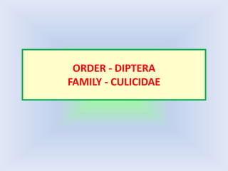 ORDER - DIPTERA
FAMILY - CULICIDAE
 