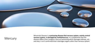 Mercury
Minamata Disease is a poisoning disease that nervous system, mainly central
nervous system, is damaged by methylmercury. It is established that the
disease differs from inorganic mercury poisoning which damages kidneys, etc.,
and also, it isn't confirmed that it damages organs other than nervous system.
 