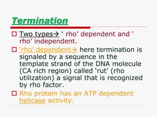Termination
 Two types ‘ rho’ dependent and ‘
rho’ independent.
 ‘rho’ dependent here termination is
signaled by a sequence in the
template strand of the DNA molecule
(CA rich region) called ‘rut’ (rho
utilization) a signal that is recognized
by rho factor.
 Rho protein has an ATP dependent
helicase activity.
 