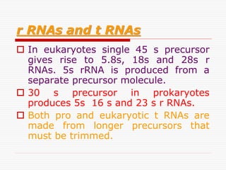 r RNAs and t RNAs
 In eukaryotes single 45 s precursor
gives rise to 5.8s, 18s and 28s r
RNAs. 5s rRNA is produced from a
separate precursor molecule.
 30 s precursor in prokaryotes
produces 5s 16 s and 23 s r RNAs.
 Both pro and eukaryotic t RNAs are
made from longer precursors that
must be trimmed.
 