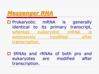 Messenger RNA
 Prokaryotic mRNA is generally
identical to its primary transcript,
whereas eukaryotic mRNA is
extensively modified after
transcription.
 tRNAs and rRNAs of both pro and
eukaryotes are modified after
transcription.
 