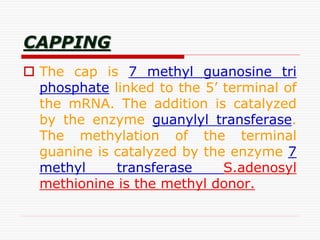 CAPPING
 The cap is 7 methyl guanosine tri
phosphate linked to the 5’ terminal of
the mRNA. The addition is catalyzed
by the enzyme guanylyl transferase.
The methylation of the terminal
guanine is catalyzed by the enzyme 7
methyl transferase S.adenosyl
methionine is the methyl donor.
 
