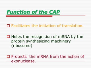 Function of the CAP
 Facilitates the initiation of translation.
 Helps the recognition of mRNA by the
protein synthesizing machinery
(ribosome)
 Protects the mRNA from the action of
exonuclease.
 