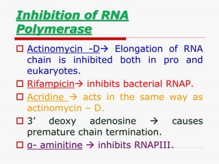 Inhibition of RNA
Polymerase
 Actinomycin -D Elongation of RNA
chain is inhibited both in pro and
eukaryotes.
 Rifampicin inhibits bacterial RNAP.
 Acridine  acts in the same way as
actinomycin – D.
 3’ deoxy adenosine  causes
premature chain termination.
 α- aminitine  inhibits RNAPIII.
 