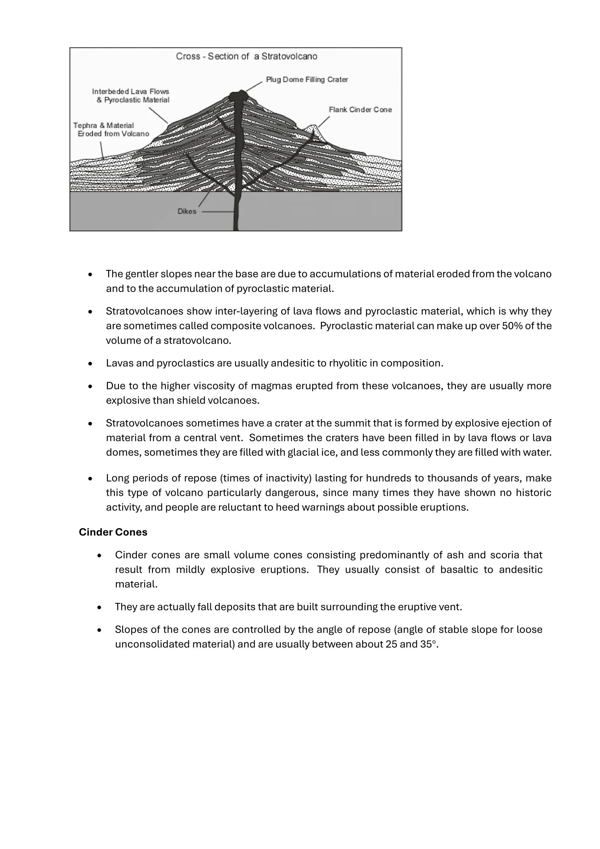 • The gentler slopes near the base are due to accumulations of material eroded from the volcano
and to the accumulation of pyroclastic material.
• Stratovolcanoes show inter-layering of lava flows and pyroclastic material, which is why they
are sometimes called composite volcanoes. Pyroclastic material can make up over 50% of the
volume of a stratovolcano.
• Lavas and pyroclastics are usually andesitic to rhyolitic in composition.
• Due to the higher viscosity of magmas erupted from these volcanoes, they are usually more
explosive than shield volcanoes.
• Stratovolcanoes sometimes have a crater at the summit that is formed by explosive ejection of
material from a central vent. Sometimes the craters have been filled in by lava flows or lava
domes, sometimes they are filled with glacial ice, and less commonly they are filled with water.
• Long periods of repose (times of inactivity) lasting for hundreds to thousands of years, make
this type of volcano particularly dangerous, since many times they have shown no historic
activity, and people are reluctant to heed warnings about possible eruptions.
Cinder Cones
• Cinder cones are small volume cones consisting predominantly of ash and scoria that
result from mildly explosive eruptions. They usually consist of basaltic to andesitic
material.
• They are actually fall deposits that are built surrounding the eruptive vent.
• Slopes of the cones are controlled by the angle of repose (angle of stable slope for loose
unconsolidated material) and are usually between about 25 and 35o
.
 